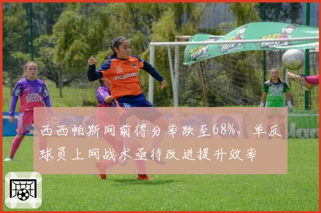 西西帕斯网前得分率跌至68%,单反球员上网战术亟待改进提升效率