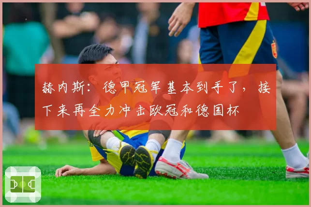 赫内斯：德甲冠军基本到手了，接下来再全力冲击欧冠和德国杯